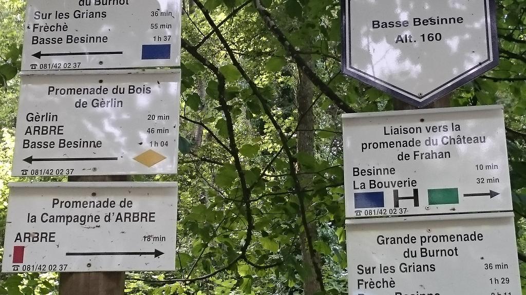 B&B Aux Anges Profondeville Eksteriør billede
